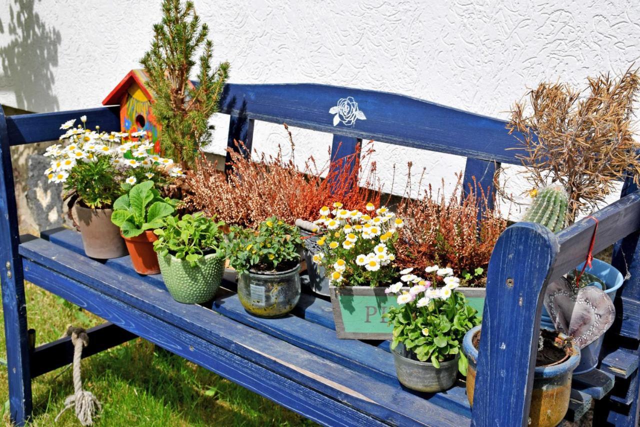Ferienwohnungen Familie Looks Klein Zicker Zewnętrze zdjęcie